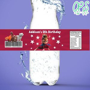 Pil's Adventures Birthday Water Bottle Label Template To Print At Home Instant Download