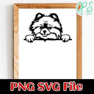 Pomeranian PNG SVG file template