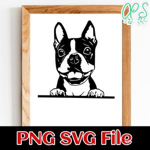 Boston Terrier PNG SVG file template