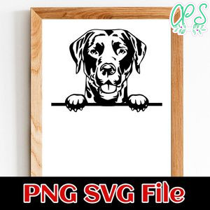 Labrador Retriever PNG SVG file template