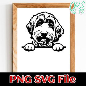 Labradoodle PNG SVG file template